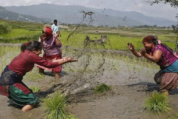 खिलेंगे किसानों के चेहरे , इस बार मानसून रहेगा सामान्य  