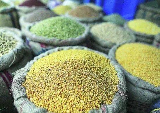 किसान मजबूर एमएसपी से 1,500 रुपये नीचे बेच रहा हे दालें  