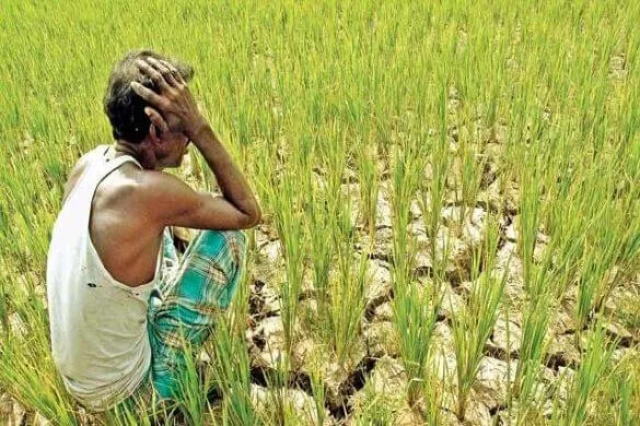 किसानों को 6 लाख करोड़ रुपये का नुकसान, सरकार का 2022 तक उनकी आय को दोगुना करने का झूठा वादा