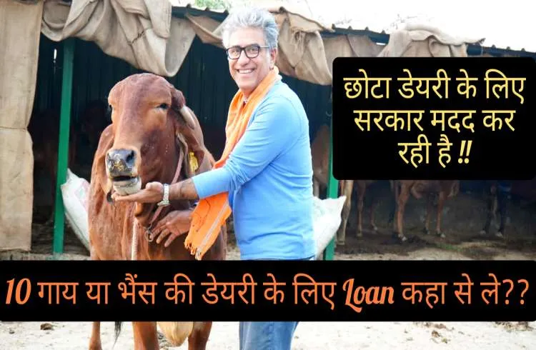 कम पैसों में शुरू करते हैं डेयरी, यहां से Loan लेने पर मिलेगी 25% सब्सिडी