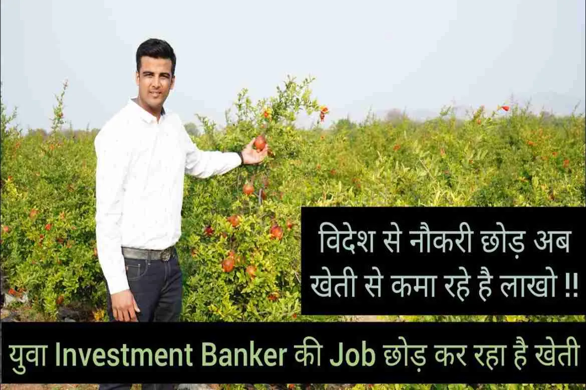 युवा विदेश से नौकरी छोड़ भी कर रहे है खेती , कुछ तो बात है 
