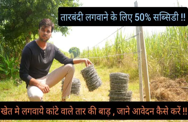 तारबंदी योजना में किसान 50% सब्सिडी पर खेतों में लगवाएं कटीले तार ,जानेंआवेदन करने की प्रकिया