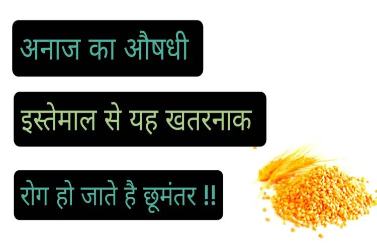 क्या आप जानते है कि अनाज के औषधीय उपयोग से यह रोगों से मिलता है छुटकारा ??