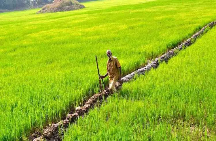 जानिए सबसे उच्च लाभ प्राप्त करने के लिए किसान कोन-सी खेती करें