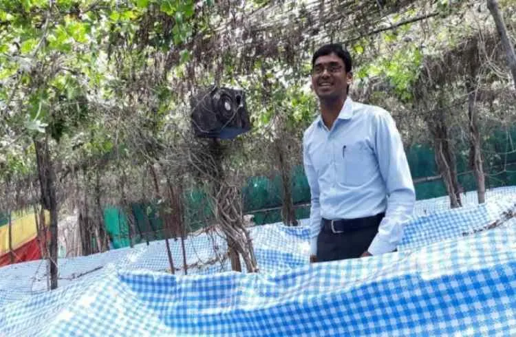 फसलों को संगीत सुना कर हो रहा है मालामाल ये किसान, ज्यादा होती है हर एक फसल की पैदावार