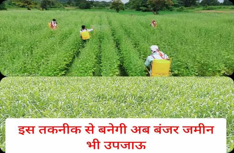इस तकनीक से बनेगी अब बंजर जमीन भी उपजाऊ