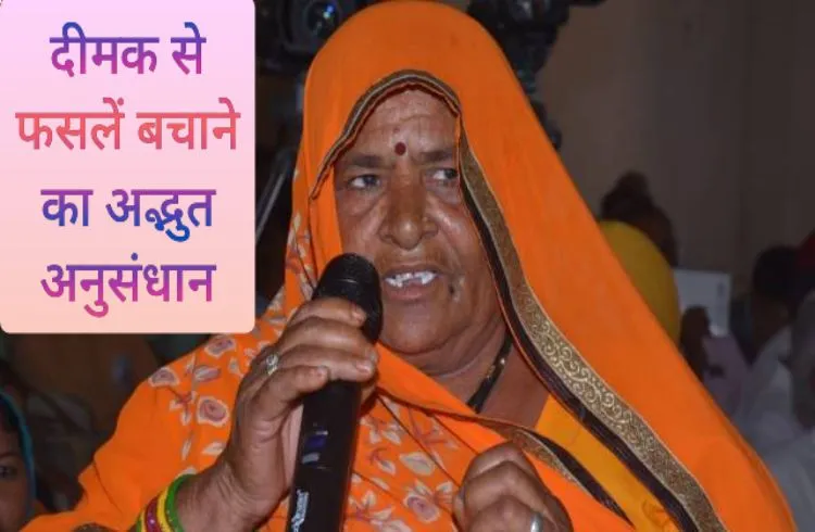 दीमक से फसलें बचाने का अद्भुत अनुसंधान