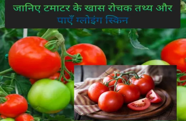 जानिए टमाटर के खास रोचक तथ्य और पाएँ ग्लोइंग स्किन