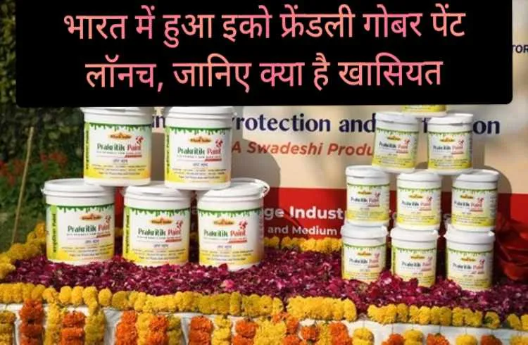 भारत में हुआ इको फ्रेंडली गोबर पेंट लाॅनच, जानिए क्यों है खास