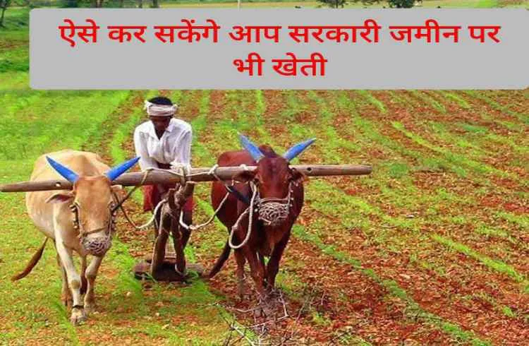 ऐसे कर सकेंगे आप सरकारी जमीन पर भी खेती