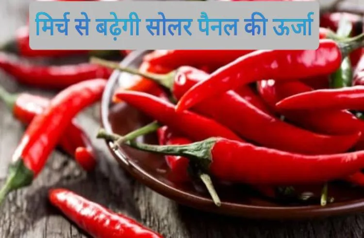 मिर्च से बढ़ेगी सोलर पैनल की ऊर्जा