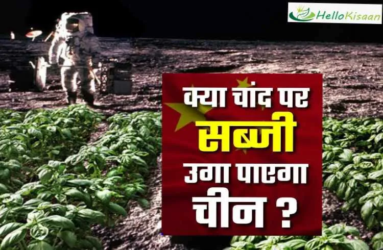 क्या चांद पर सब्जी उगा सकेगा चीन? चांद से मिले नमूने क्या बताते हैं?