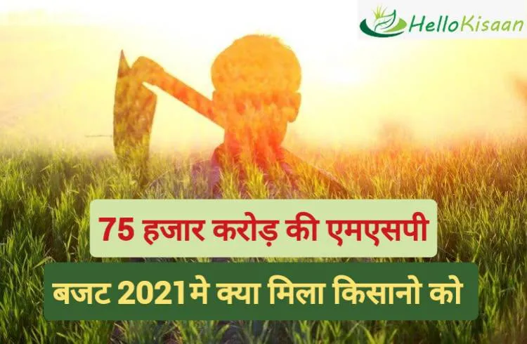 Budget 2021: किसानों को 75100 करोड़ की एमएसपी