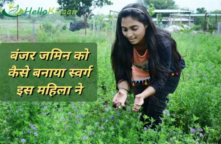 बंजर जमीन से कैसे कमा रही एक महिला लाखो रुपये। 
