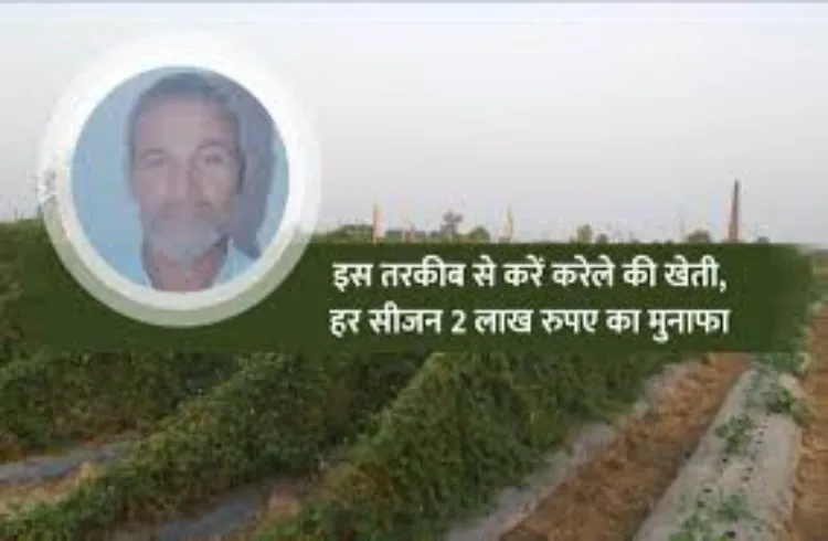 रमेश कुमार की तरह करेले की खेती कर कमाऐं लाखों