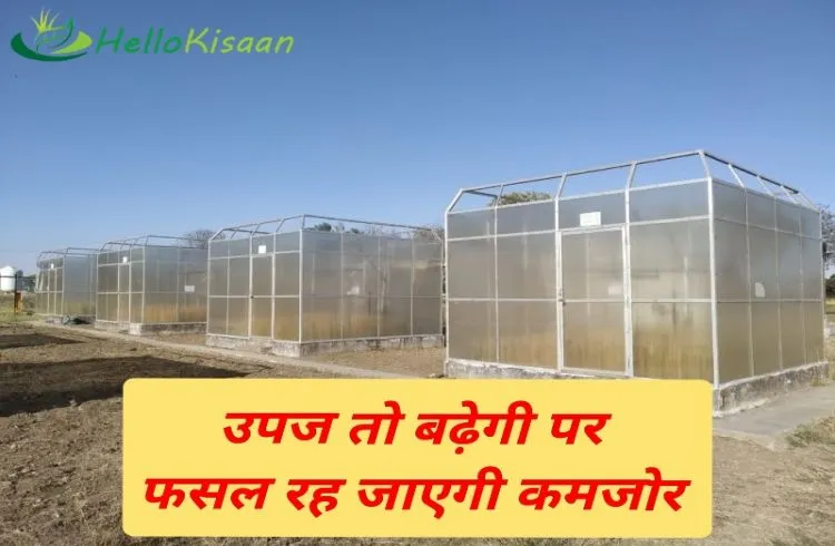 उपज बढ़ेगी पर फसल रह जाएगी कमजोर