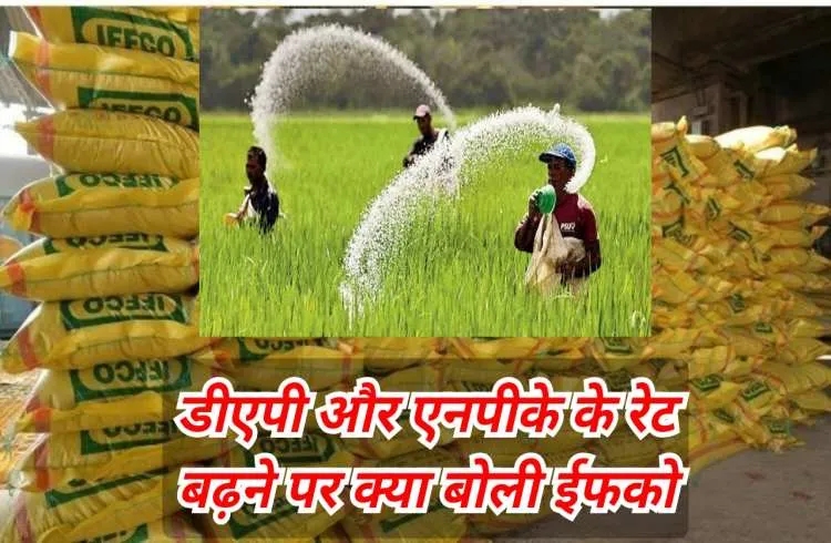 कबाड़ से किया कमाल