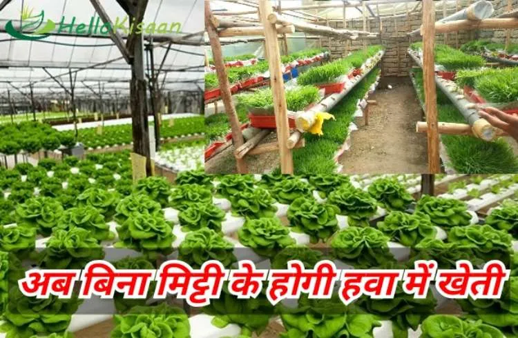 बिना मिट्टी के होगी अब खेती