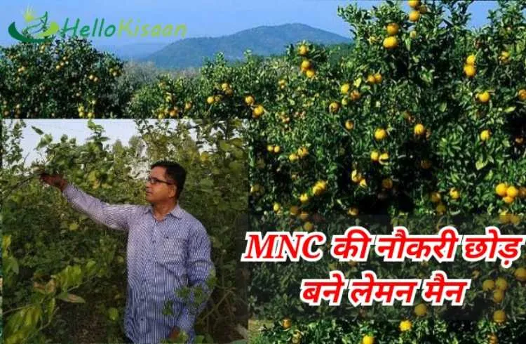 MNC कंपनी की जॉब छोड़,मिश्रा जी से कैसे बने लेमन मैन