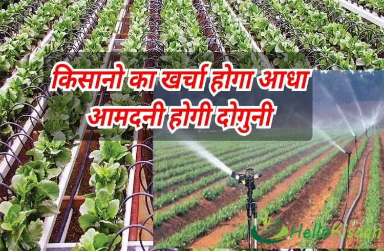 ड्रिप इरिगेशन से होगी खेती में कमाई दोगुनी खर्चा आधा