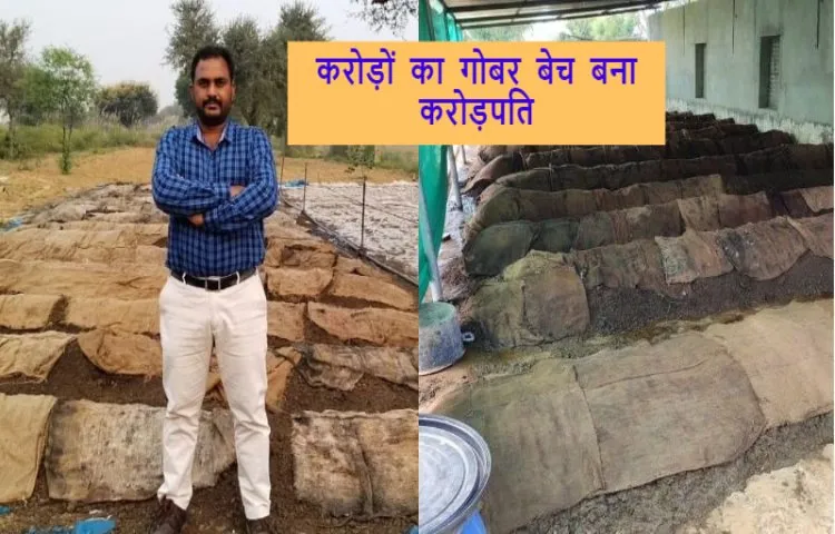 करोड़ों का गोबर बेच बना करोड़पति
