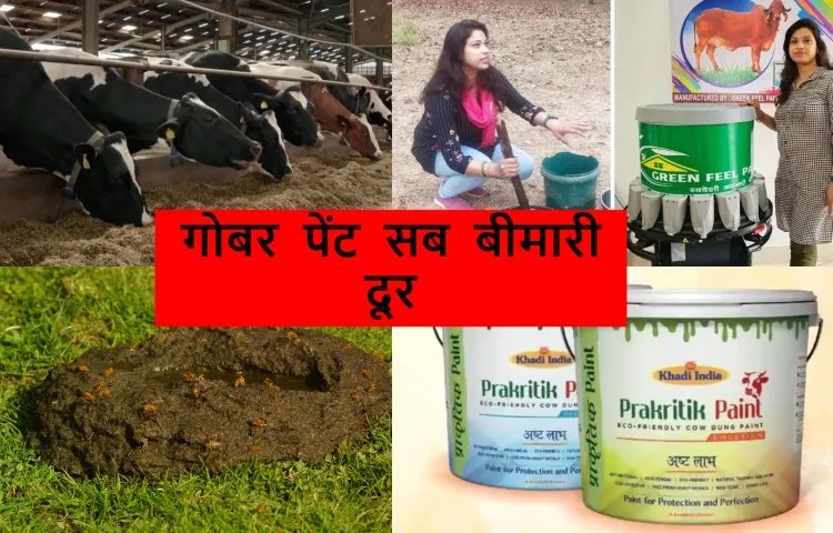 गोबर पेंट सब बीमारी दूर