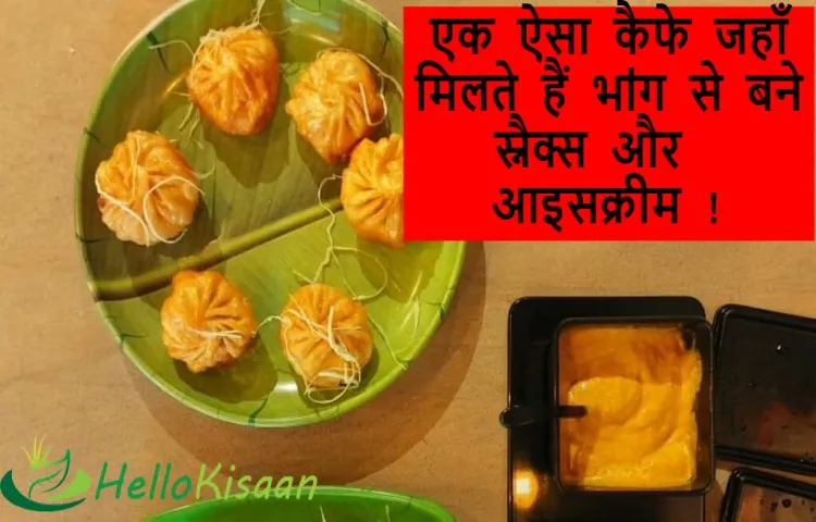 एक ऐसा कैफे जहाँ मिलते हैं भाऺग से बने स्नैक्स और आइसक्रीम !