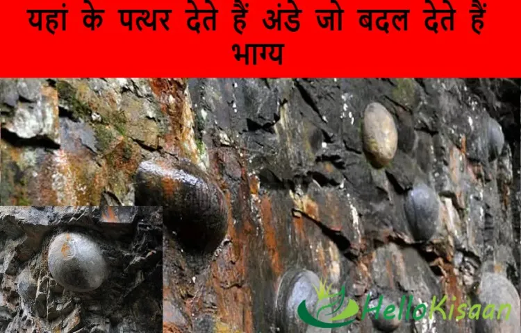 यहां के पत्थर देते हैं अंडे जो बदल देते हैं भाग्य