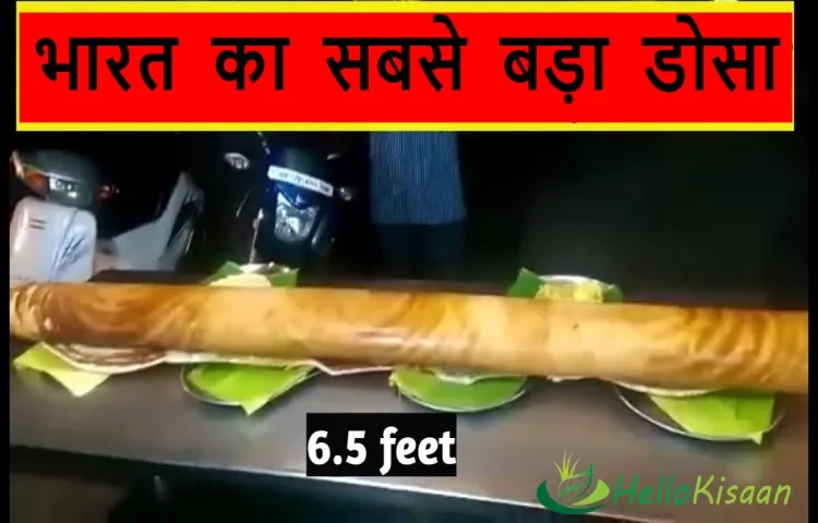 भारत का सबसे बड़ा डोसा