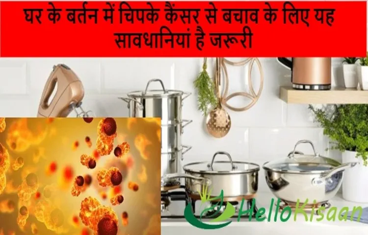 घर के बर्तन में चिपके कैंसर से बचाव के लिए यह सावधानियां है जरूरी