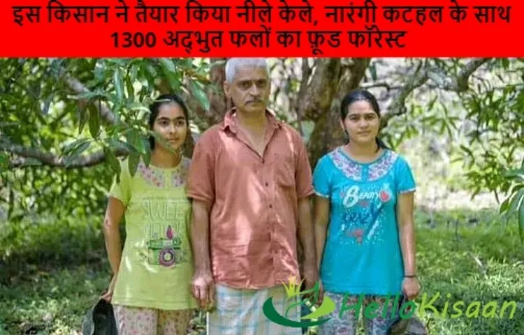 इस किसान ने तैयार किया नीले केले, नारंगी कटहल के साथ 1300 अद्भुत फलों का फ़ूड फॉरेस्ट
