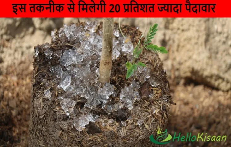 इस तकनीक से मिलेगी 20 प्रतिशत ज्यादा पैदावार