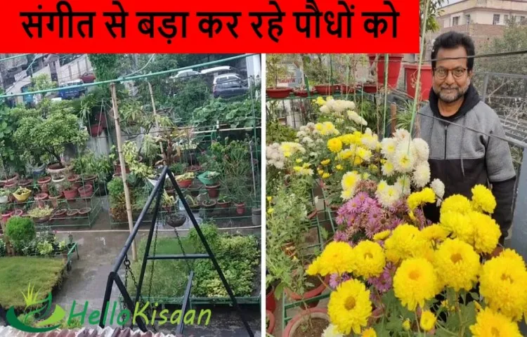 संगीत से बड़ा कर रहे पौधों को