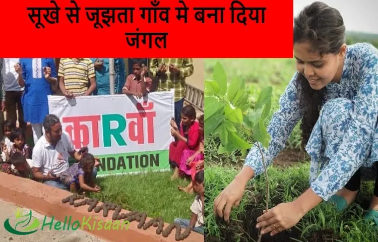 सूखे से जूझता गाँव मे बना दिया जंगल