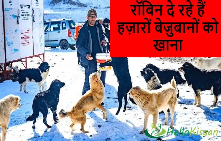 रॉबिन दे रहे हैं हज़ारों बेज़ुबानों को खाना