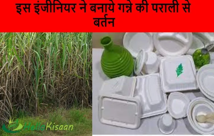 इस इंजीनियर ने बनाये गन्ने की पराली से बर्तन