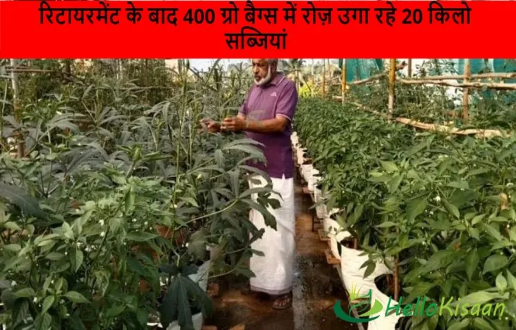 रिटायरमेंट के बाद 400 ग्रो बैग्स में रोज़ उगा रहे 20 किलो सब्जियांं