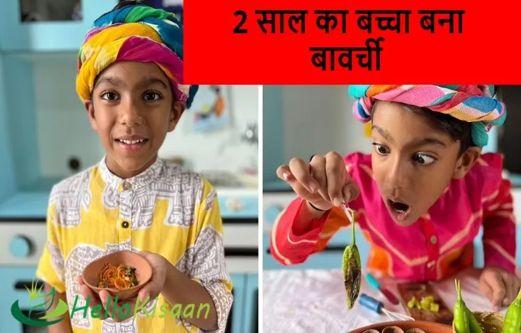 दो साल का बच्चा बना बावर्ची