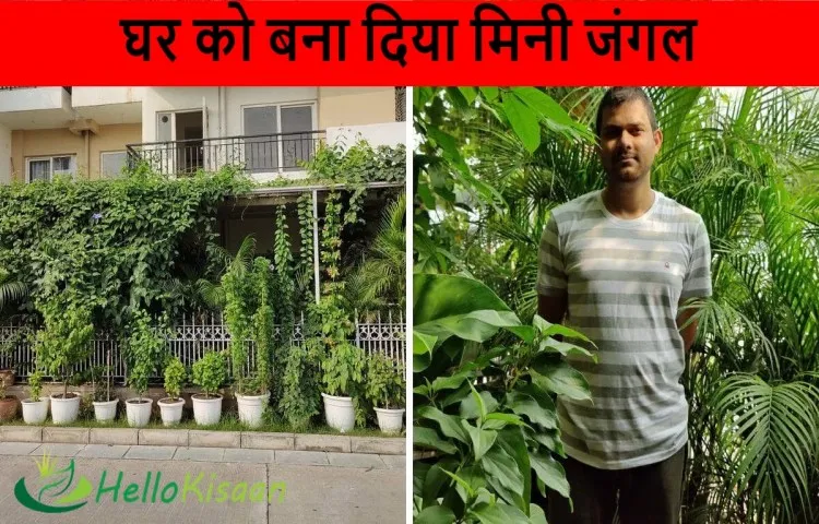 घर को बना दिया मिनी जंगल