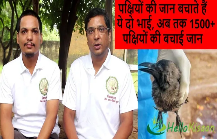 पक्षियों की जान बचाते हैं ये दो भाई, अब तक 1500+ पक्षियों की बचाई जान