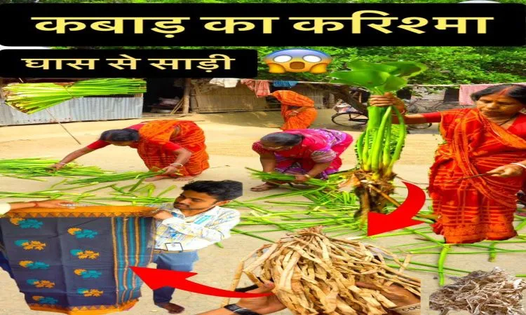 यह पौधा किसी सोने से कम नहीं