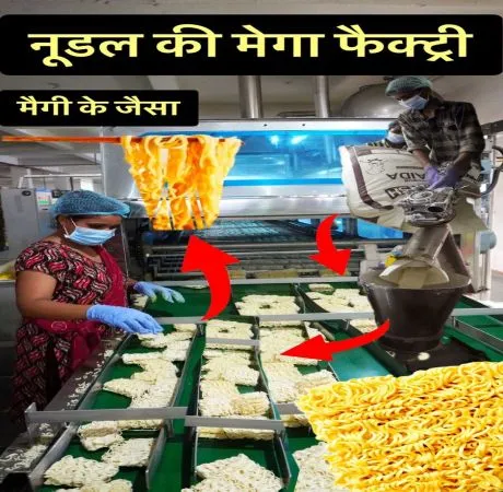 नूडल्स-मैगी बनाने की हाईटेक फैक्ट्री