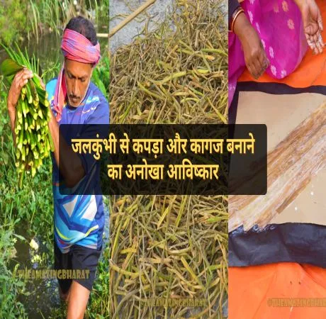 जलकुंभी से कपड़ा और कागज बनाने का अनोखा आविष्कार