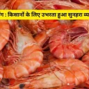 ट्रैक्टर पर सिर्फ 5
