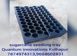 Sugarcane seedling tray 