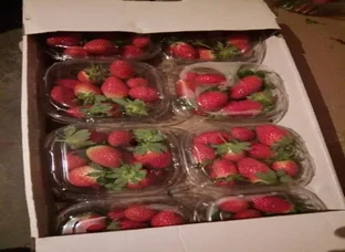 Organic strawberry 