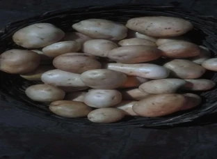 Organic Potato