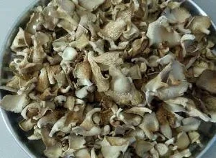 Dry Oyster Mushroom 