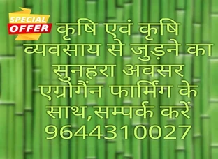 kirshi se judna