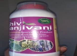 Inti - panta